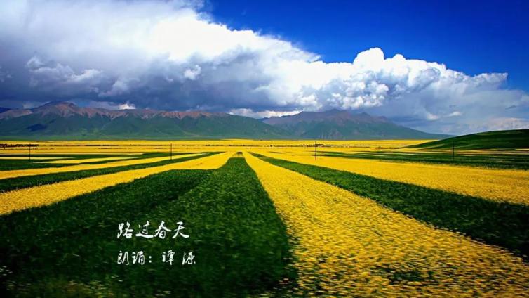 【言为心声】名家美诵（501）谭源朗诵专辑（4) ——逸野《​路过春天》朗诵：谭源