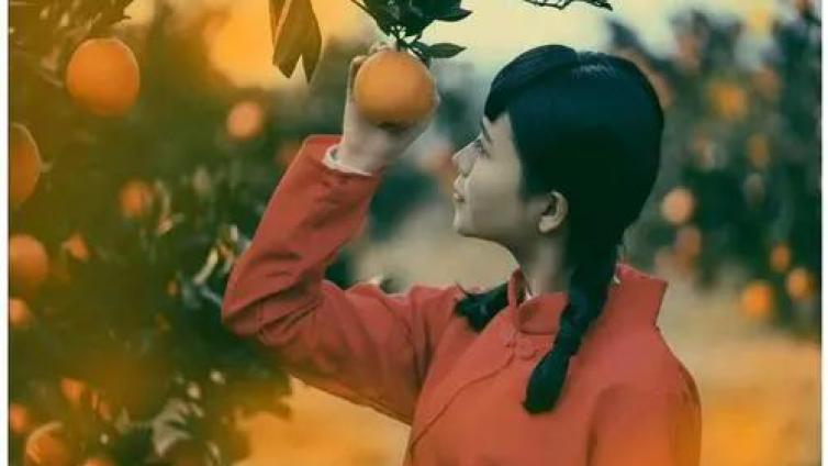 【言为心声】名家美诵（583）——诗歌《橘子红了》｜作者、朗诵：海歌无涛